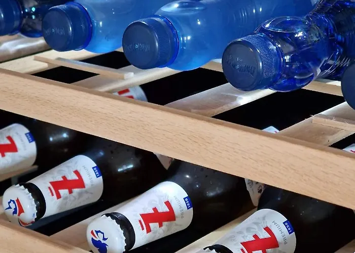 Laguna Beskidow Chyba Snisz, Jezioro Zywieckie 아파트호텔 Bierna